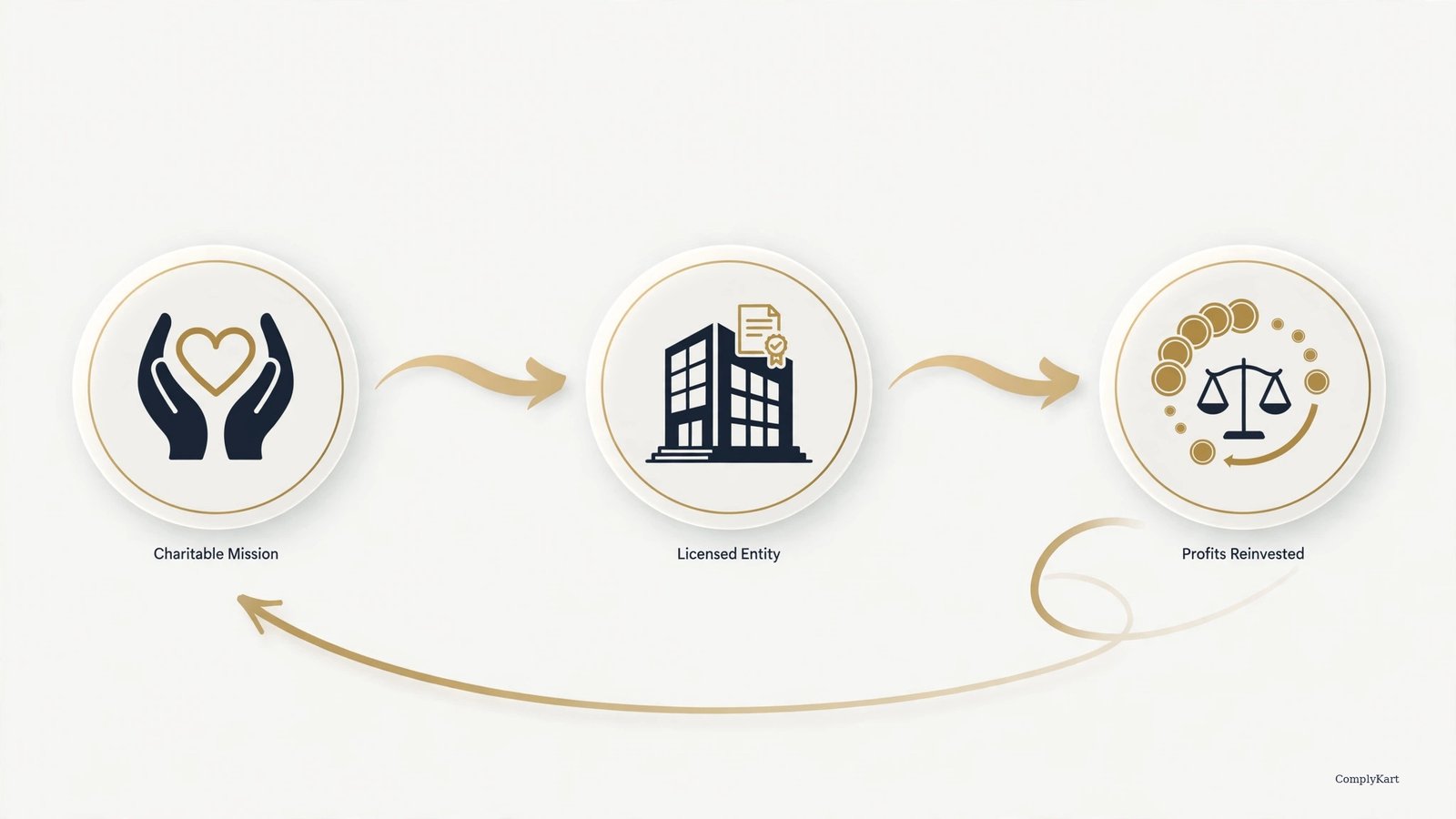 Starting a Nonprofit the Company Way: Section 8, Explained